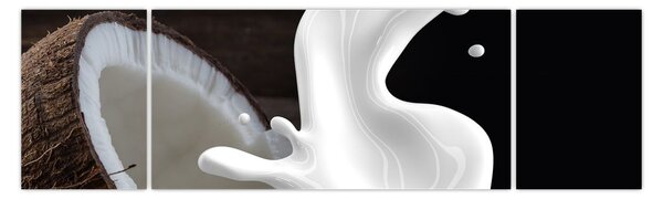 Obraz - kokosové mléko (170x50 cm)
