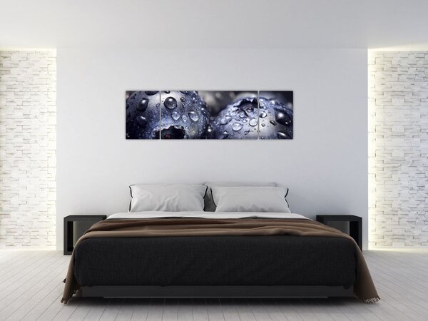 Obraz ovoce s kapkami vody (170x50 cm)