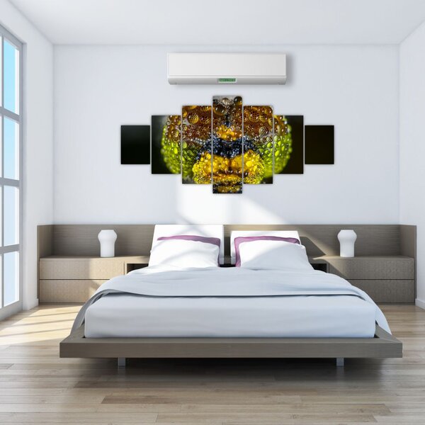 Detailní obraz očí hmyzu (210x100 cm)