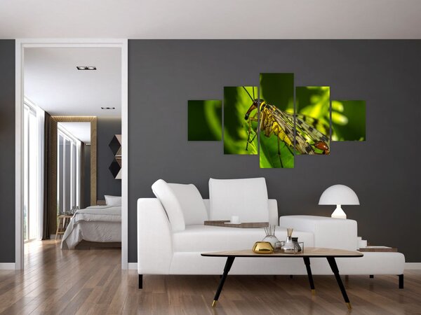 Obraz hmyzu (125x70 cm)