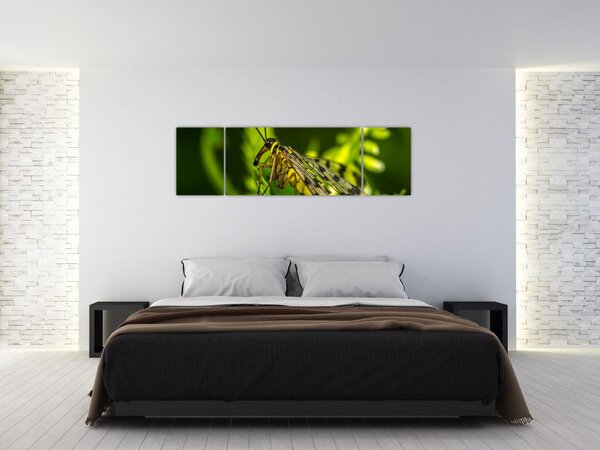 Obraz hmyzu (170x50 cm)