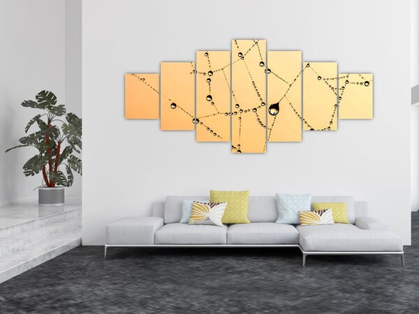 Obraz orosené pavučiny (210x100 cm)