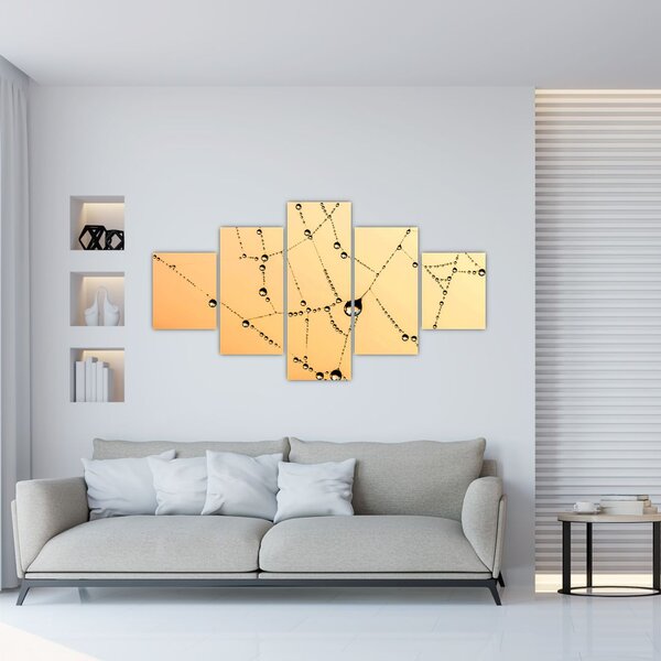 Obraz orosené pavučiny (125x70 cm)