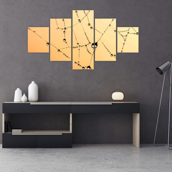 Obraz orosené pavučiny (125x70 cm)