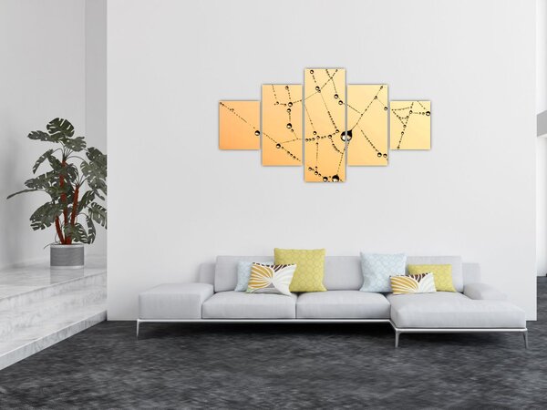 Obraz orosené pavučiny (125x70 cm)