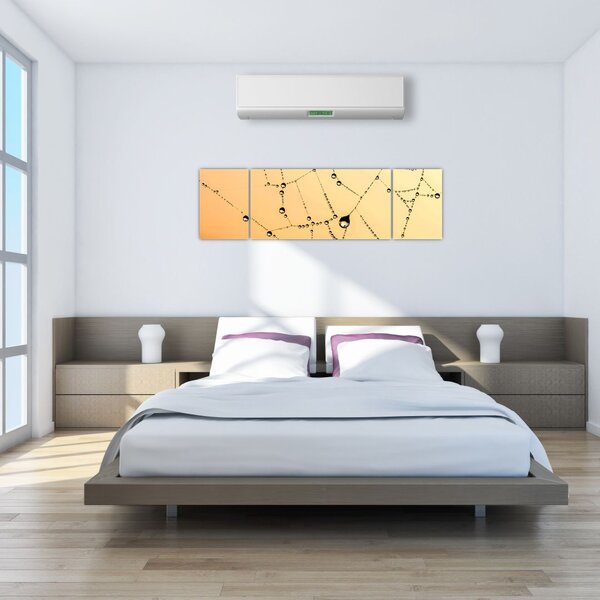 Obraz orosené pavučiny (170x50 cm)