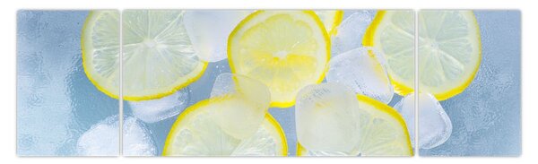 Obraz citrónů v ledu (170x50 cm)