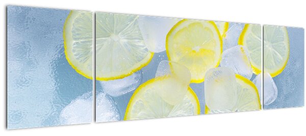 Obraz citrónů v ledu (170x50 cm)