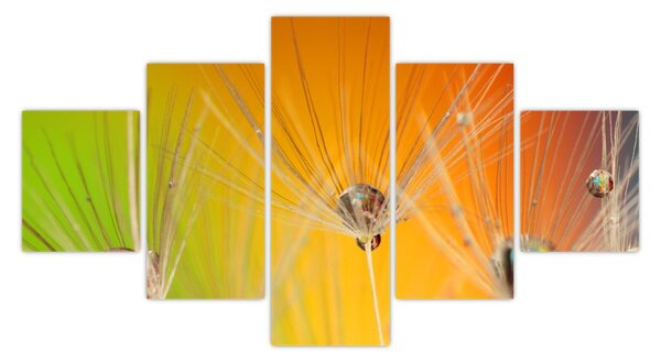 Obraz kapek na rostlině (125x70 cm)