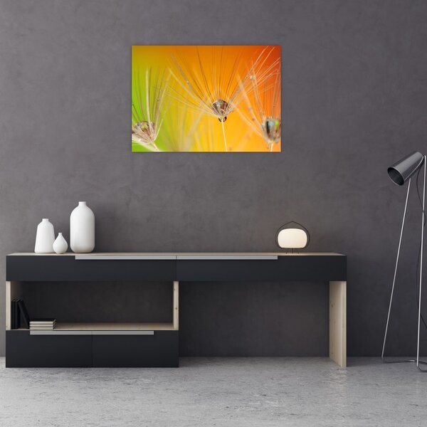 Obraz kapek na rostlině (70x50 cm)