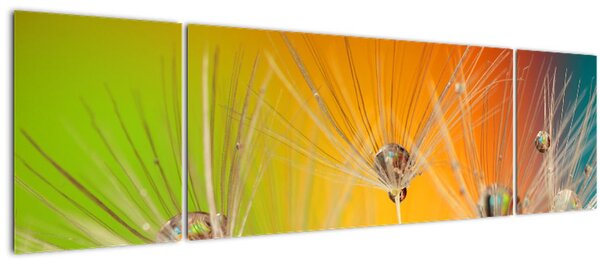 Obraz kapek na rostlině (170x50 cm)