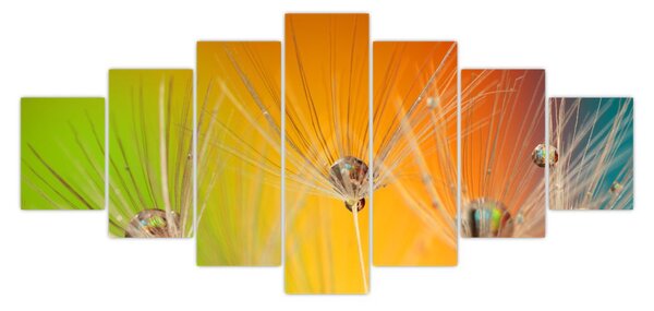 Obraz kapek na rostlině (210x100 cm)