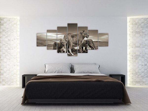 Obraz černobílých lvů (210x100 cm)