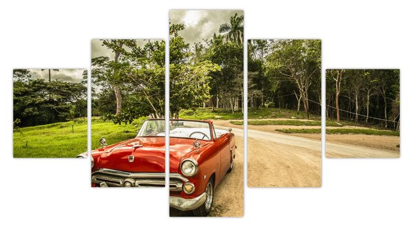 Obraz - auto veterán v přírodě (125x70 cm)
