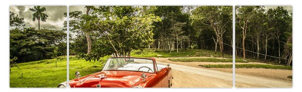 Obraz - auto veterán v přírodě (170x50 cm)