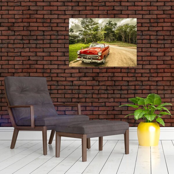 Obraz - auto veterán v přírodě (70x50 cm)