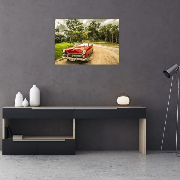 Obraz - auto veterán v přírodě (70x50 cm)