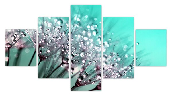 Obraz - orosená rostlina (125x70 cm)