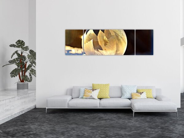 Obraz zamrzlé bubliny (170x50 cm)