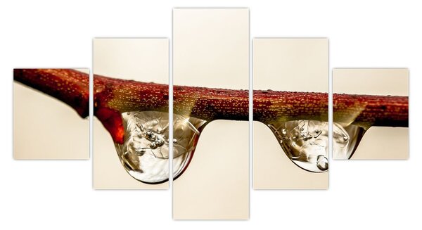 Obraz kapek na větvi (125x70 cm)