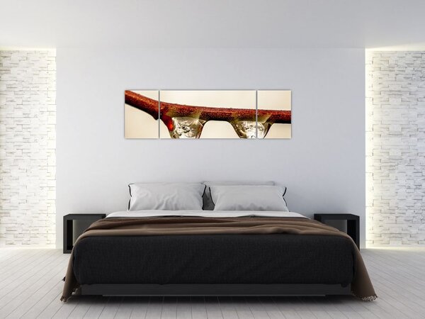 Obraz kapek na větvi (170x50 cm)