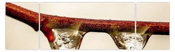 Obraz kapek na větvi (170x50 cm)