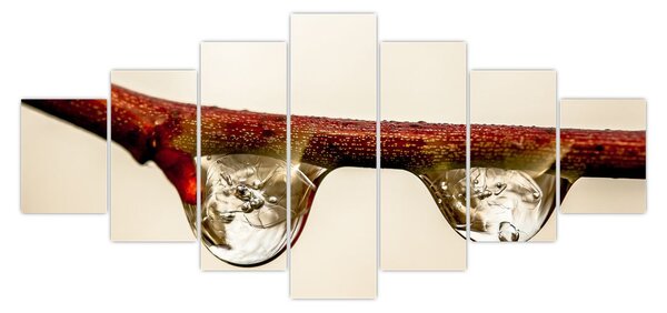 Obraz kapek na větvi (210x100 cm)