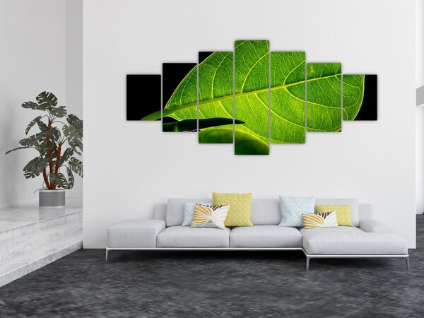 Obraz - zelený list (210x100 cm)