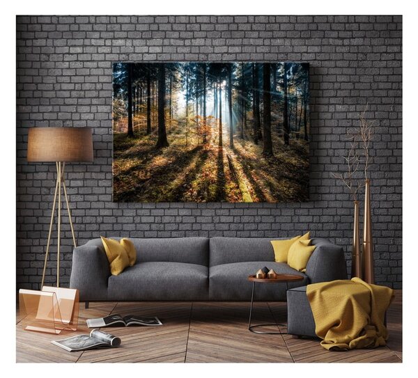 Obraz Styler Glasspik Autumn Sunset, 70 x 100 cm
