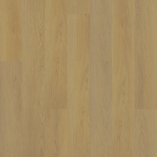 Vinylová plovoucí podlaha Area Floors Wood Click Rigid 5305 Dub solid 2,503 m²