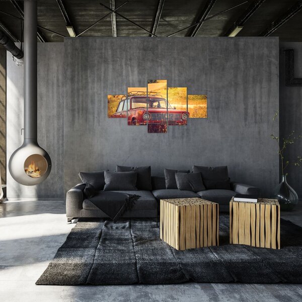 Obraz auta v poli (125x70 cm)