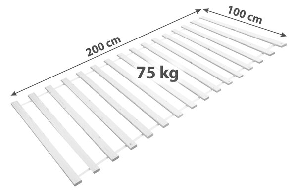 SVINOVACÍ ROŠT, 100/200 cm, barvy borovice MID.YOU - Online Only dětské postele, Online Only
