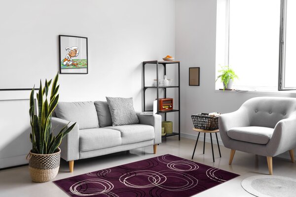 Alfa Carpets, Kusový koberec Circles lila, 120x170, fialová, chodba / předsíň