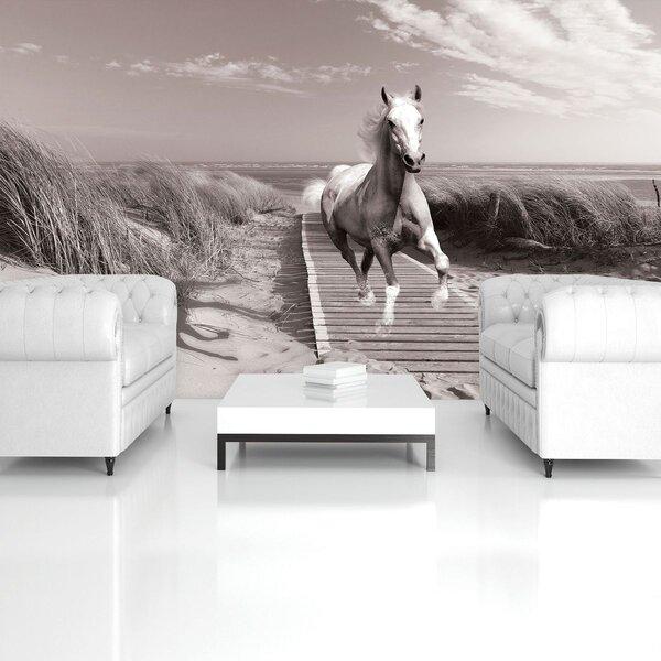 Fototapeta - Kůň na pláži (152,5x104 cm)