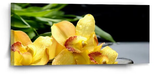 Sablio Obraz Žluté orchideje - 110x50 cm