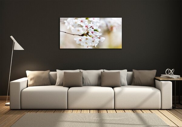 Foto-obraz fotografie na skle Květy višně osh-100965392
