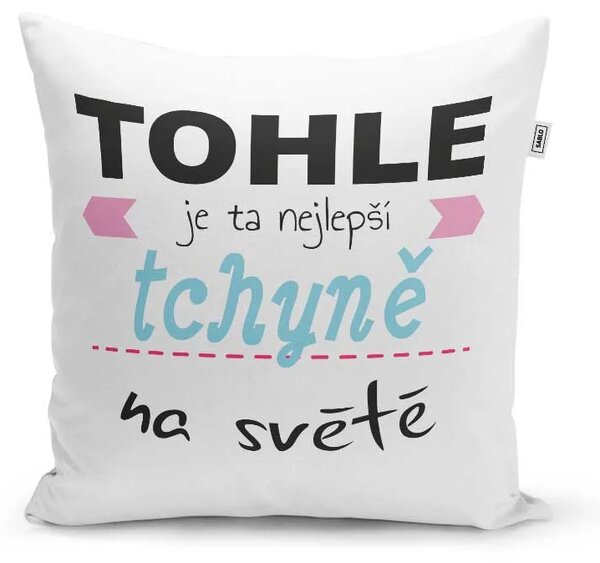 Sablio Polštář Tohle je ta nejlepší tchyně na světě: 40x40 cm