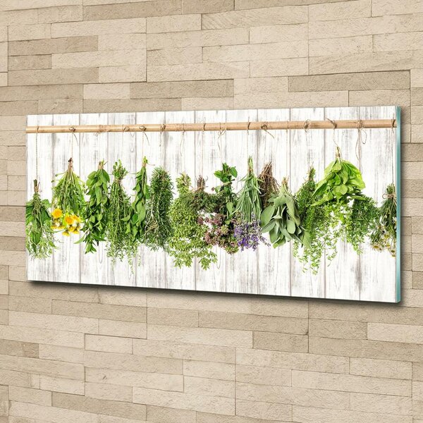 Foto obraz fotografie na skle Bylina na provázku osh-101578171