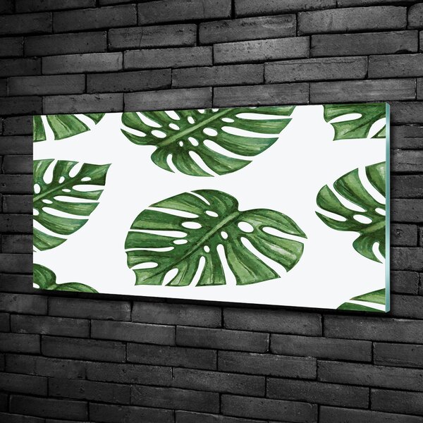 Foto obraz skleněný horizontální Monstera osh-101795652