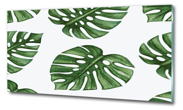 Foto obraz skleněný horizontální Monstera osh-101795652