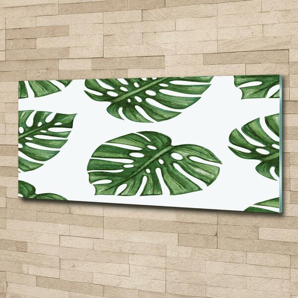 Foto obraz skleněný horizontální Monstera osh-101795652