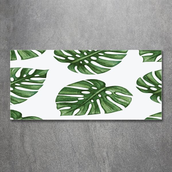 Foto obraz skleněný horizontální Monstera osh-101795652