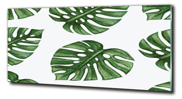 Foto obraz skleněný horizontální Monstera osh-101795652