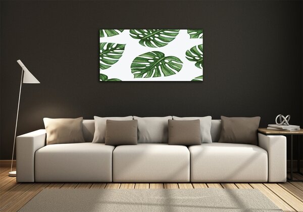 Foto obraz skleněný horizontální Monstera osh-101795652