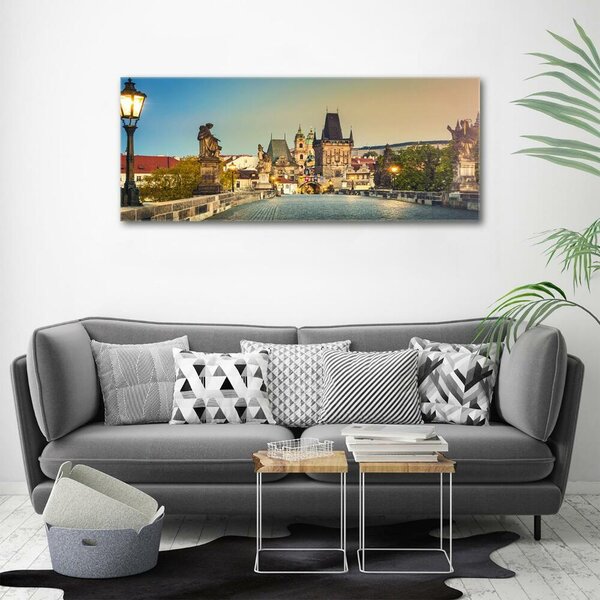 Foto-obraz fotografie na skle Most Praha osh-101827569