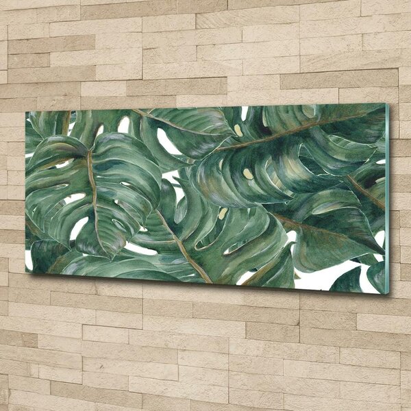 Fotoobraz na skle Monstera osh-101969533