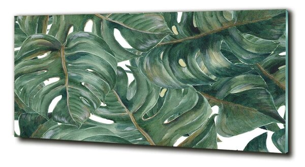 Fotoobraz na skle Monstera osh-101969533