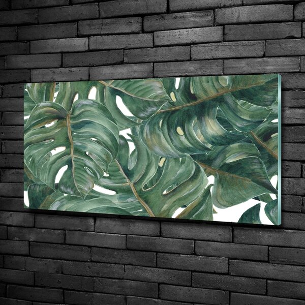 Fotoobraz na skle Monstera osh-101969533