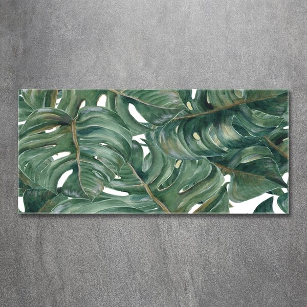 Fotoobraz na skle Monstera osh-101969533