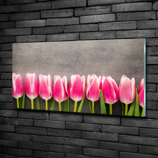 Foto obraz sklo tvrzené Růžové tulipány osh-102142486